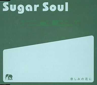 【今日の1曲】Sugar Soul - 悲しみの花に 