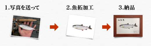 デジタル魚拓サービス「魚墨ーうおすみー」が面白い