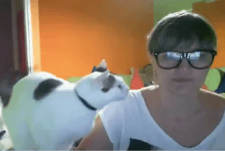 【動画】「眼鏡は嫌いだニャ！」眼鏡をかけると取っちゃう猫