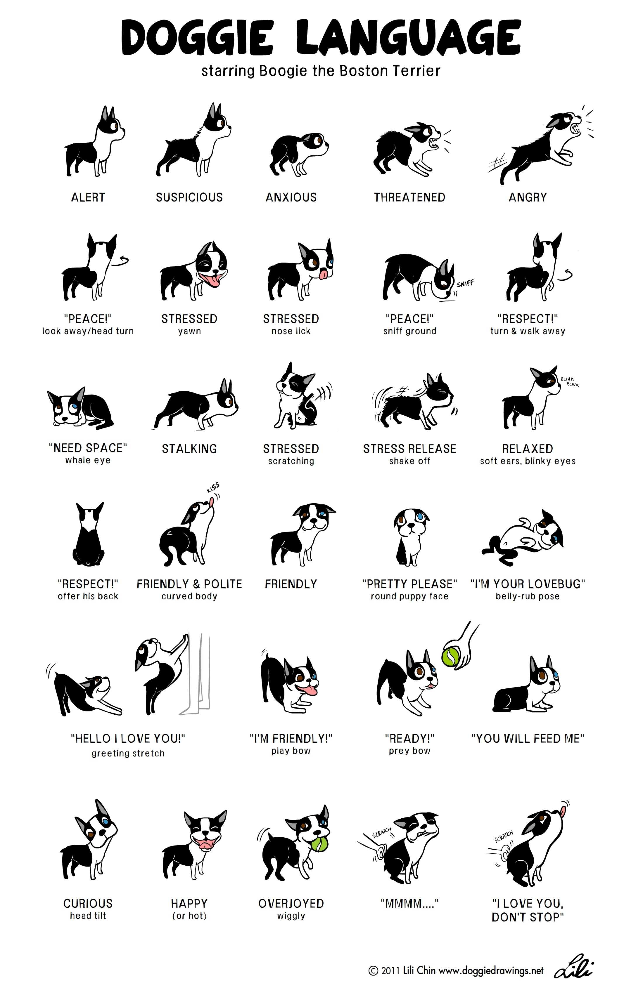 【翻訳版】「犬の表情や仕草がどんな感情を表しているかを示す画像」