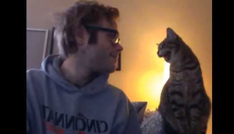【動画】猫のツッコミ「ニャ━━━━ンでやねん！（ﾋﾞｼｯ！」