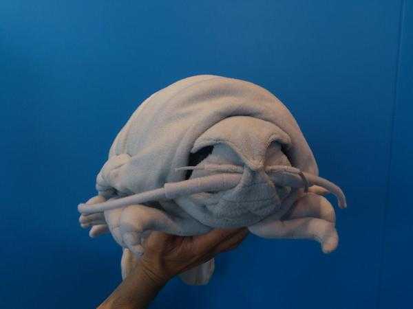 沼津港深海水族館オリジナルの巨大「ダイオウグソクムシ人形」がキモカワイイと話題