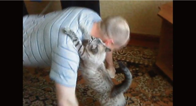 【動画】腕立て伏せに負荷を掛けてくれる猫