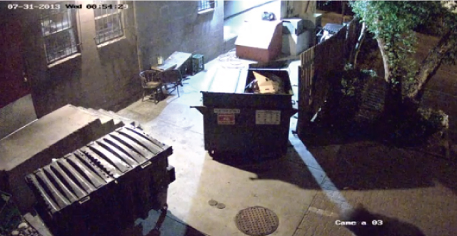 【動画】レストランの監視カメラ捉えた意外な犯人によるゴミ泥棒の瞬間