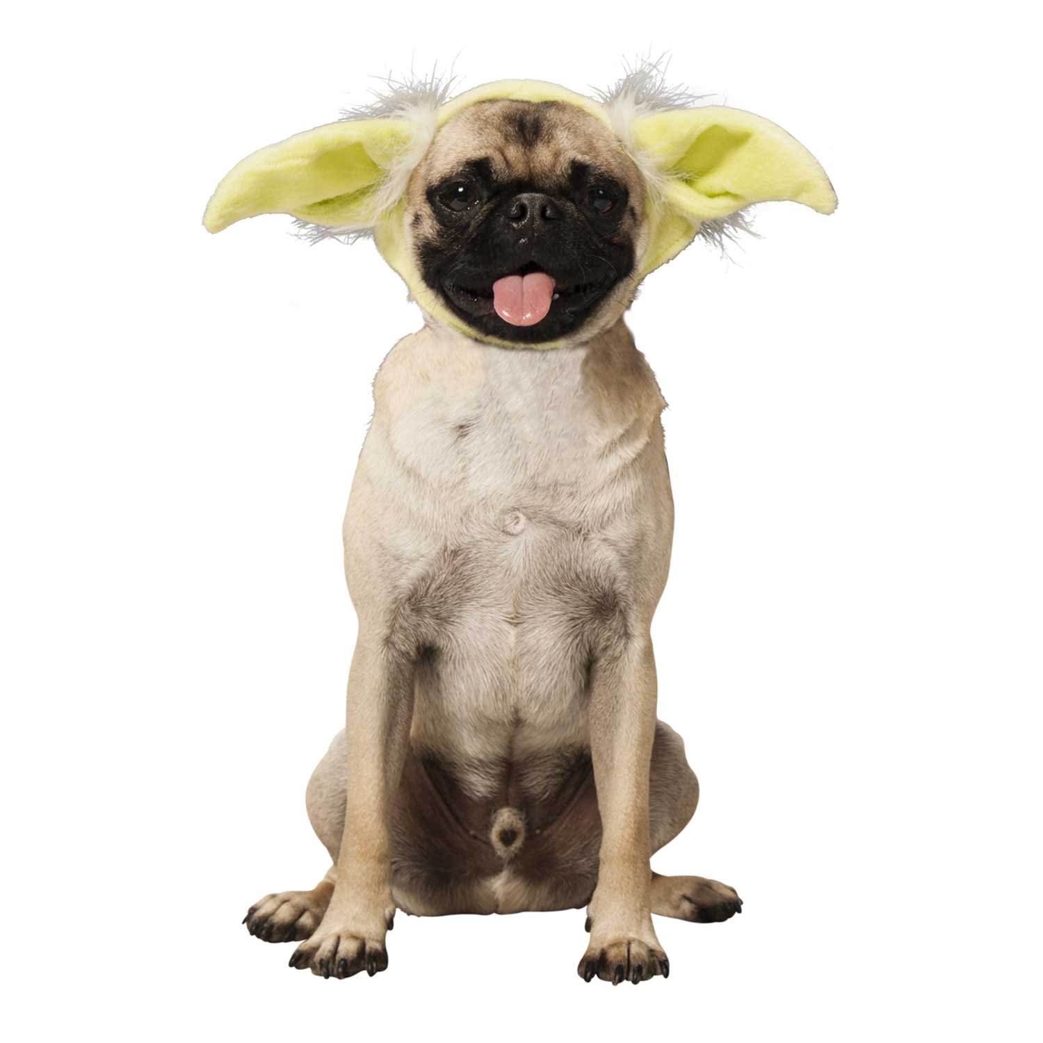 愛犬をスターウォーズのヨーダに変身させるヘアバンド「Star Wars Yoda Dog Headband」