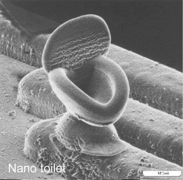 トイレみたいな細菌「Nano Toilet」が話題になっていたので調べてみたら色々出てきたｗ