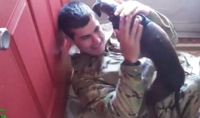 これは泣ける！帰還した兵士と愛犬の感動的再会シーンを集めた動画