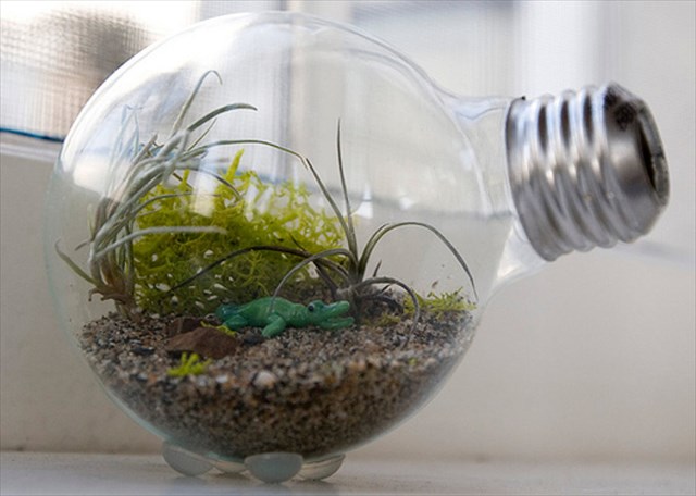 【DIY】古くなった電球をテラリウムや花瓶にリメイクする方法