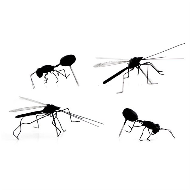1cd2_insect_pushpins