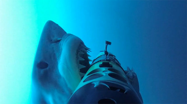 大迫力！サメ専用カメラ「SharkCam」で撮影したホオジロザメが襲い掛かってくる瞬間が凄い！