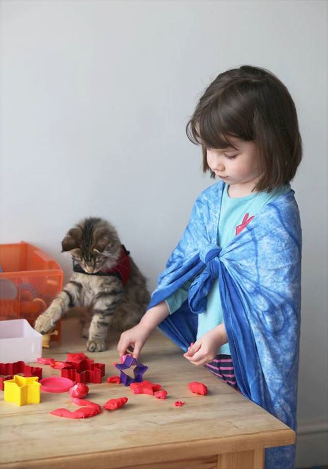 素晴らしい絵の才能を持つ自閉症の女の子とそれを支える猫の心温まる写真が話題