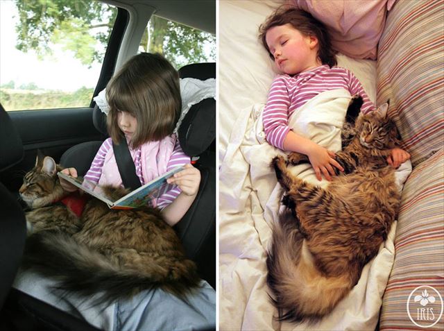 素晴らしい絵の才能を持つ自閉症の女の子とそれを支える猫の心温まる写真が話題