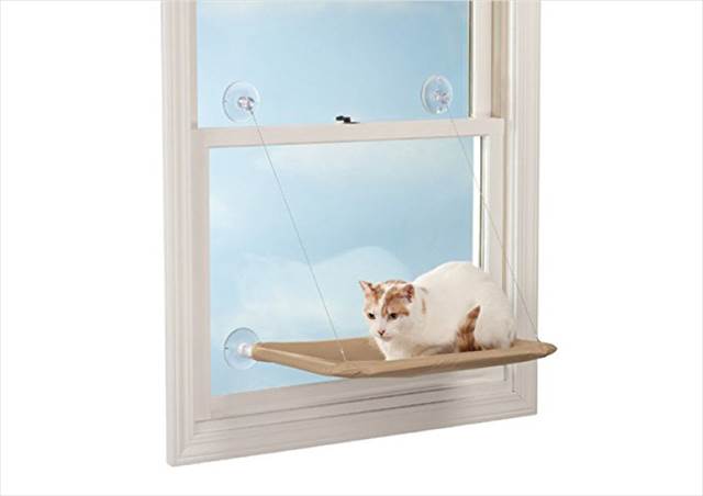 窓に猫用のお昼寝スポットを作る素敵なグッズ『Cat Window Perch』が欲しい！
