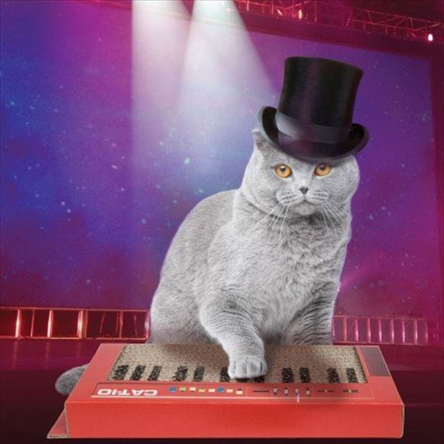 激しいプレイが期待できる！猫をキーボーディストに変える爪研ぎ『Cat Keyboard Scratcher』