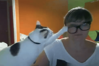 【動画】「眼鏡は嫌いだニャ！」眼鏡をかけると取っちゃう猫