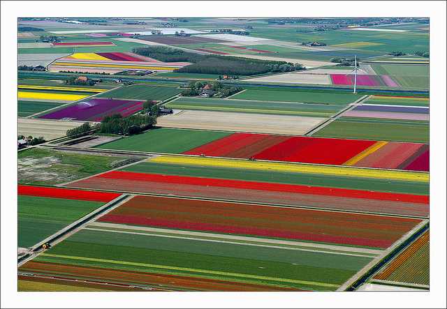 【オランダ】チューリップ畑を空中から撮影した写真が素晴らしい！