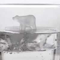 流氷の上に乗ったクマのような氷が作れる製氷皿