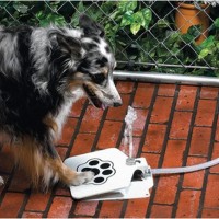 これいいな！犬が自らペダルを踏むことで水が噴水のように出てくる装置「Doggie Fountain」