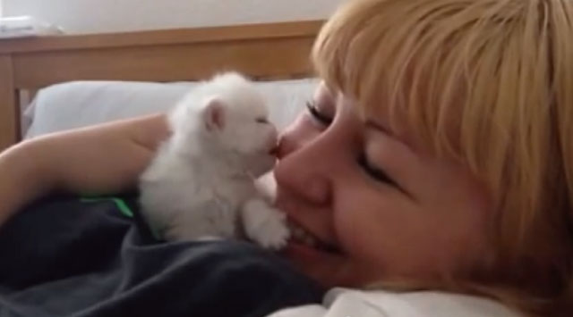 【動画】子猫が顔にキスしまくってくる動画が可愛すぎる！