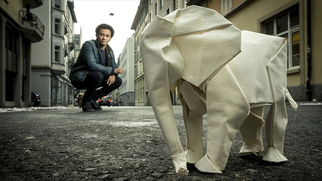 等身大の象の折紙を折りたい折り紙アーティスト「Sipho Mabona」さんがクラウドファンディングしているよ